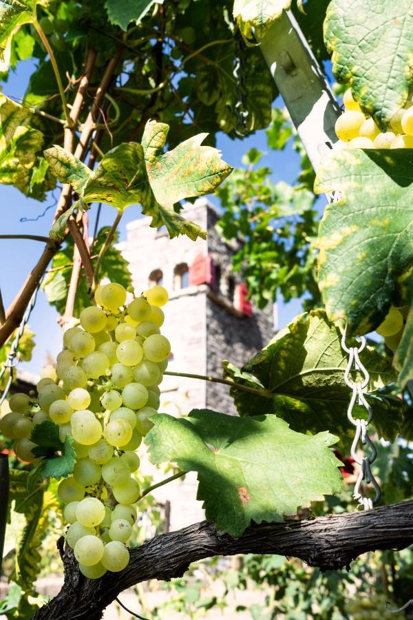 Castel de Daval Bed and Breakfast Sierre Buitenkant foto